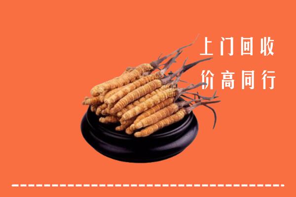 高价求购：临泽县回收散虫草