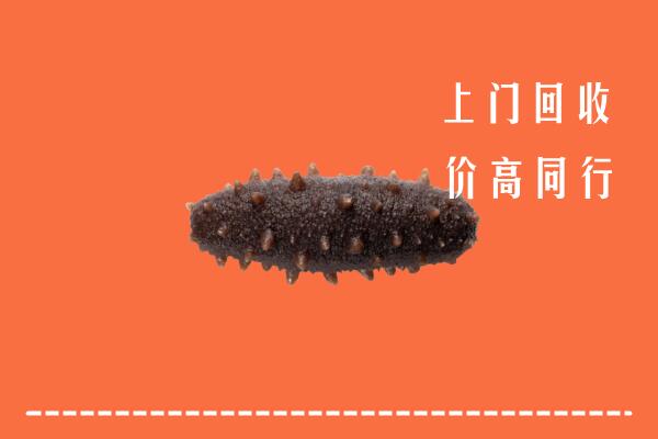 临泽县回收海参
