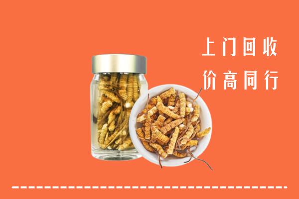收购行情：临泽县回收冬虫夏草