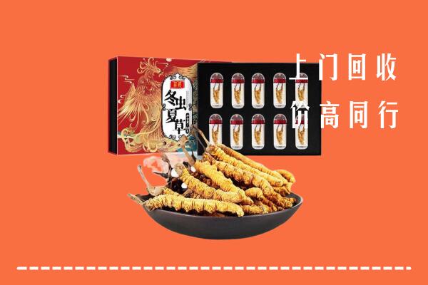 收购行情：临泽县回收虫草
